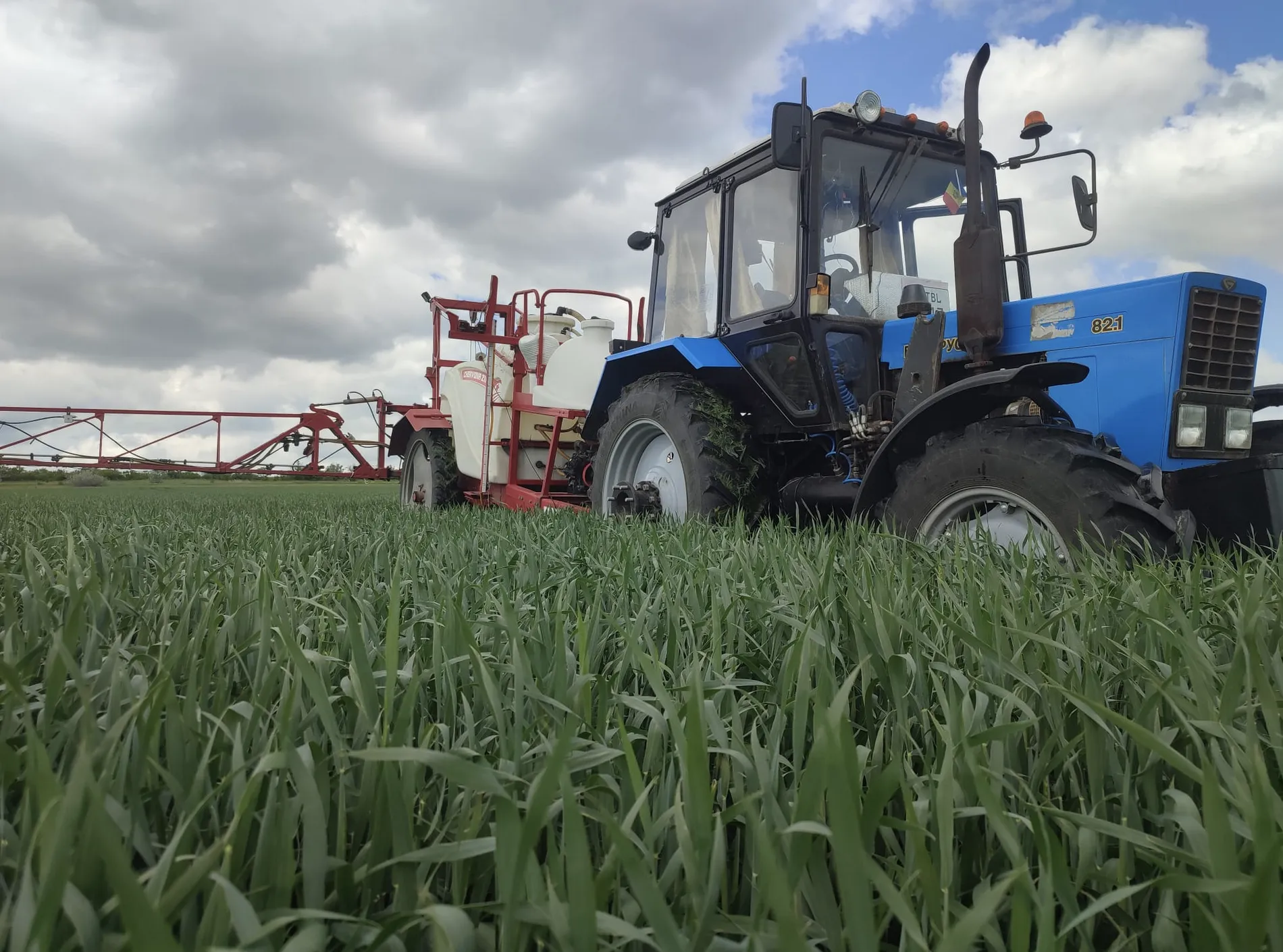 With twice France’s arable land, Ukraine’s giant farms rattle Europe as debate looms over market access and EU subsidies