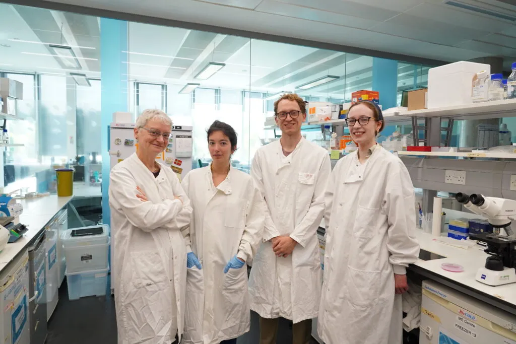 Tiny fish could yield new MS treatments — but Brexit is blocking progress