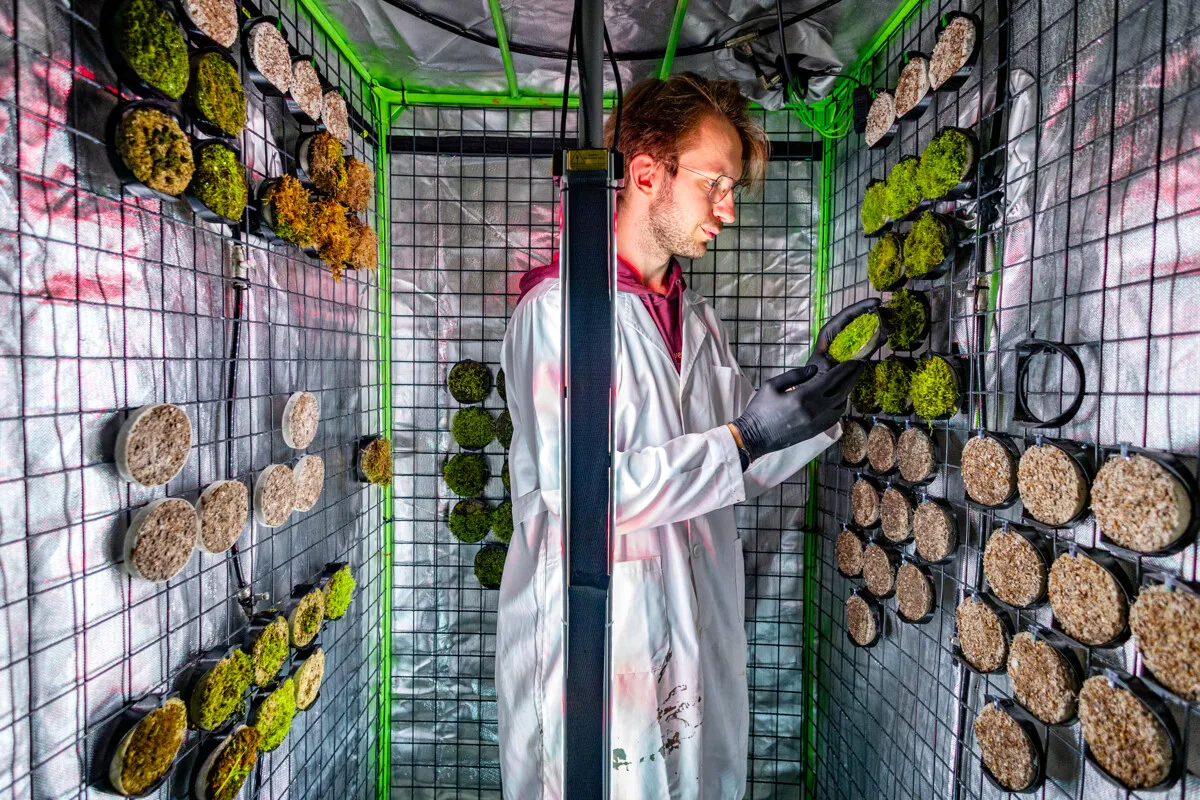 Moss-covered concrete that cools, cleans the air and brings real greenery