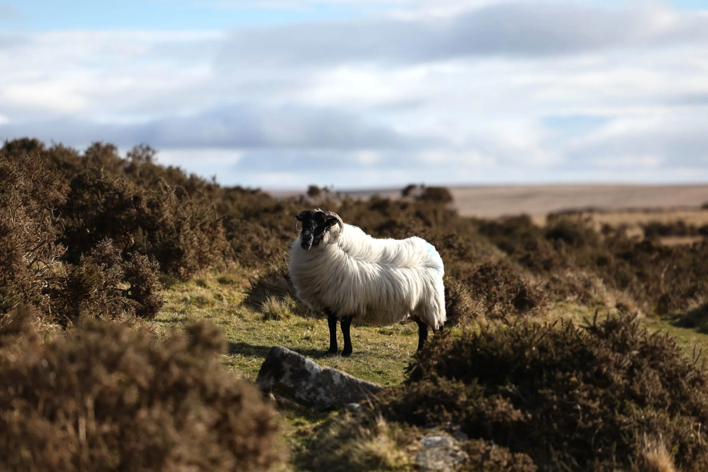 No extra funds for biodiversity at UN meeting as most EU natural treasures remain unprotected