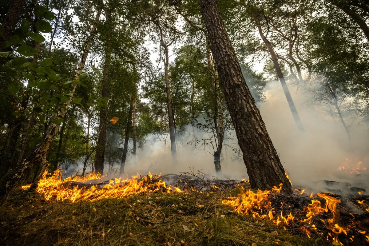 Poorly prepared? Critics are wrong — the Netherlands is actually heading in the right direction on wildfire control