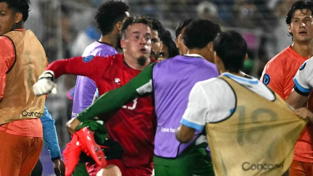 Vaessen banned for four internationals after being drawn into brawl provoked by racist abuse