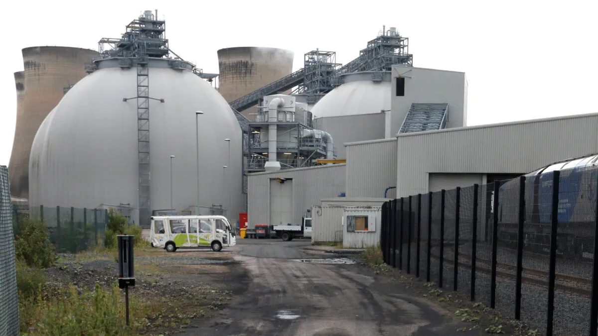 How does a biomass power plant work?