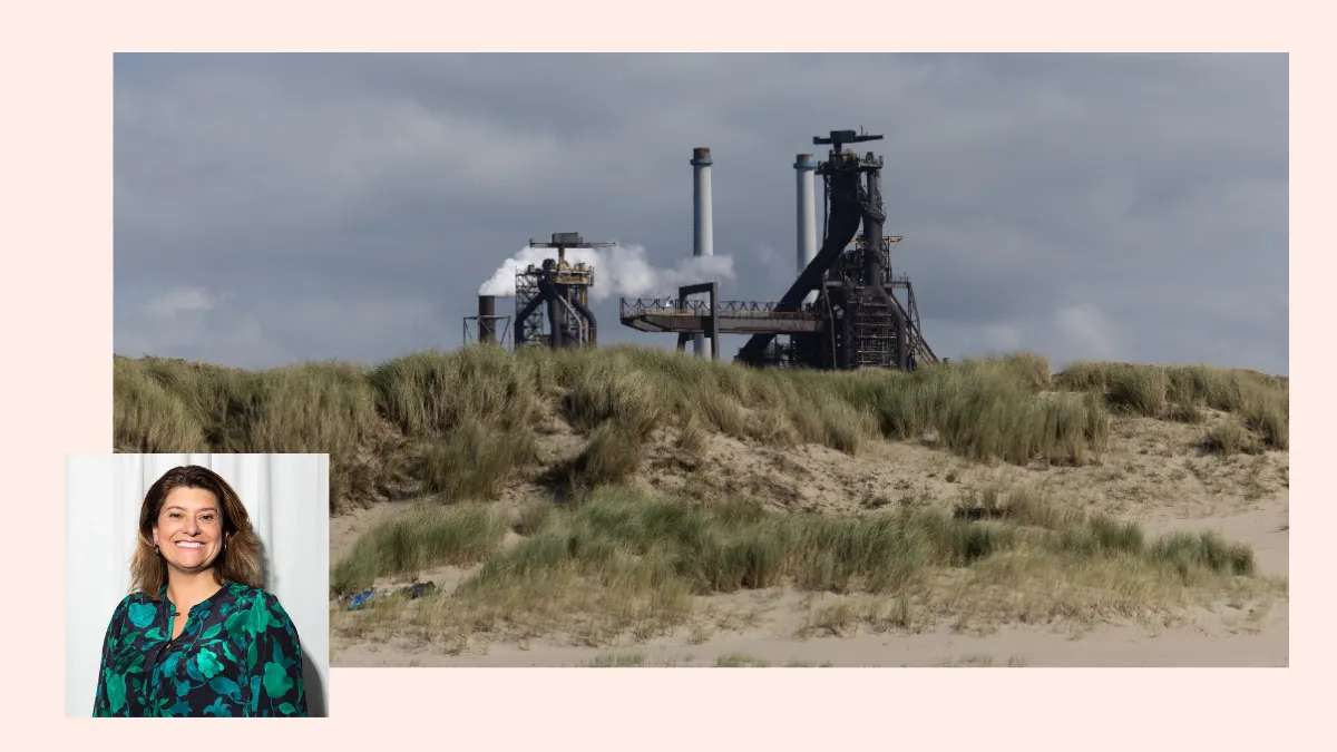 Should Tata Steel Be Nationalized to Protect Our Industry?