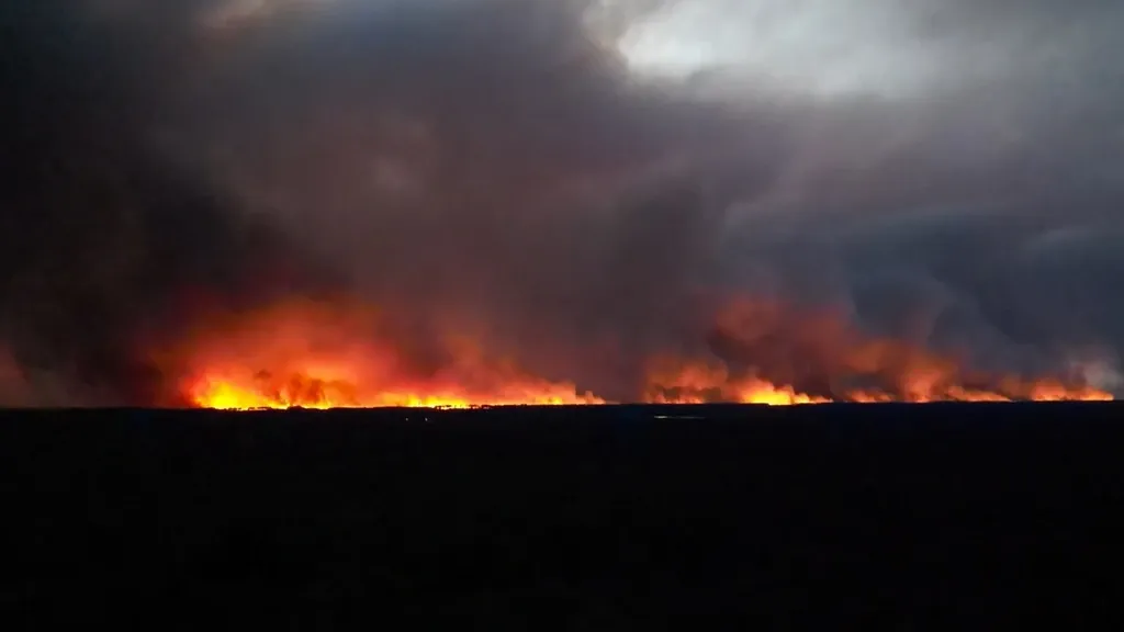 Record number of wildfires in France — unprecedented area burned by late July, Europe should seek cooperation with Russia