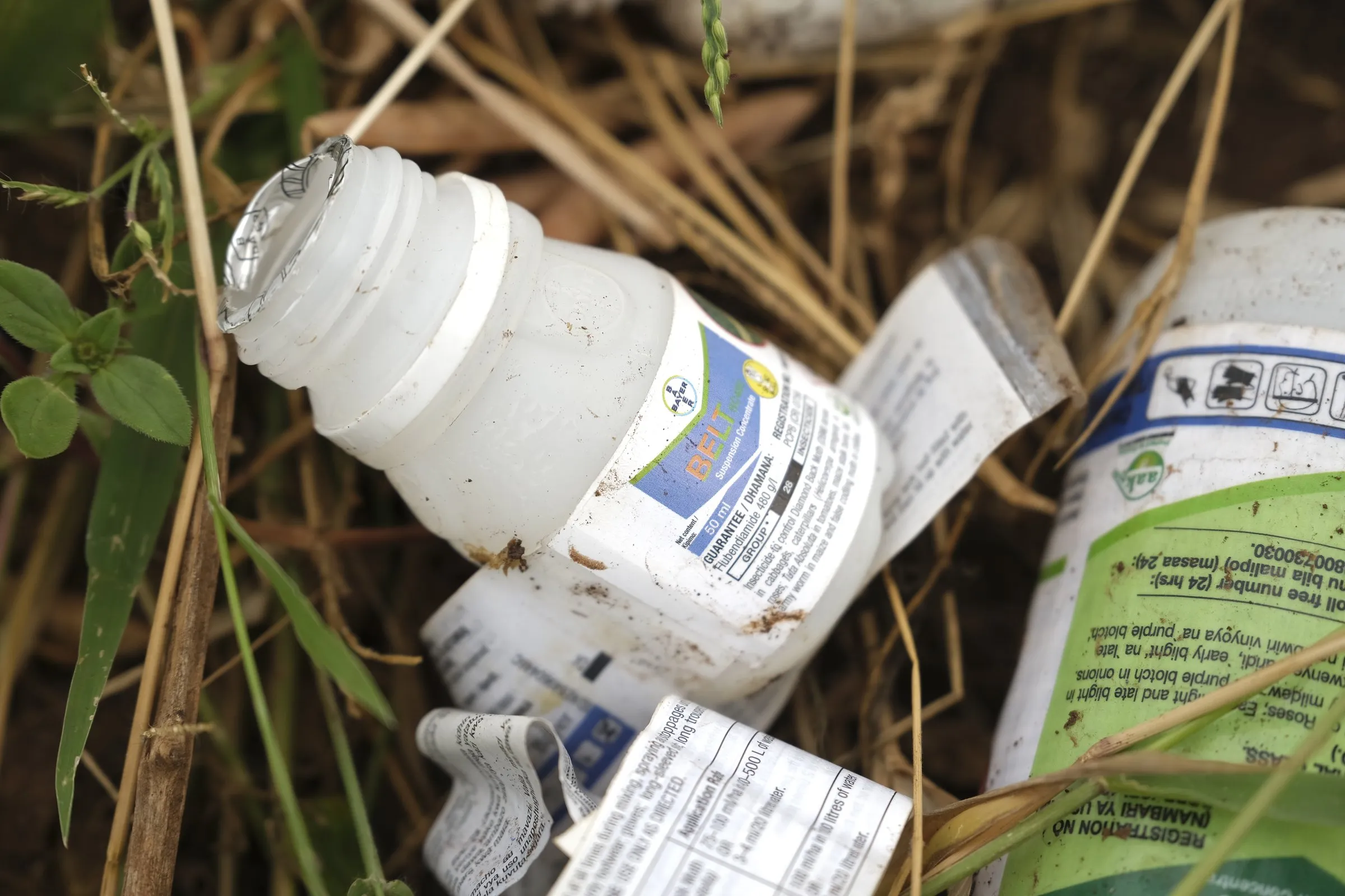 MEPs postpone pesticide vote as UN experts and scientists push back on Big Pharma-backed changes
