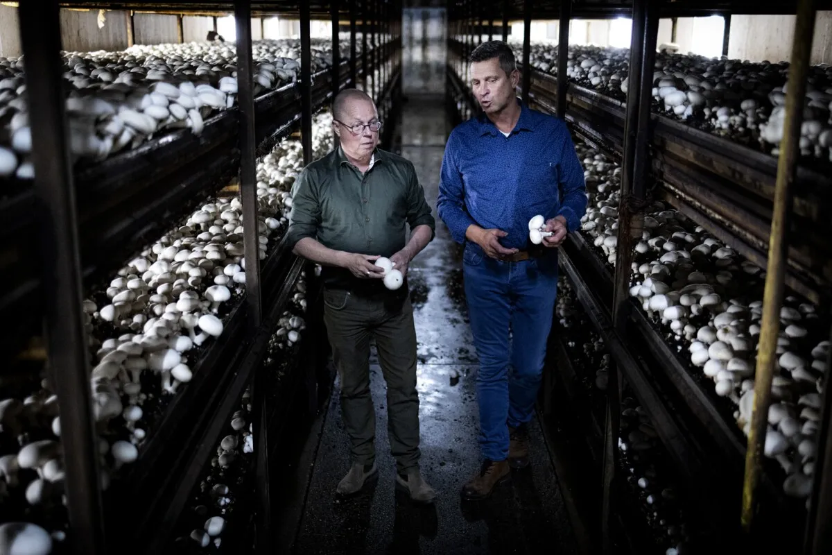 Nitrogen crisis: Ger Koopmans steers between angry farmers and the cabinet to break the impasse