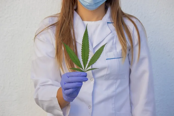 Health insurers cut coverage for medical cannabis flower therapy